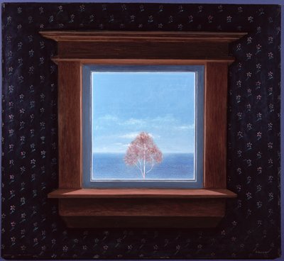Door het Raam, 1981 door Peter Davidson